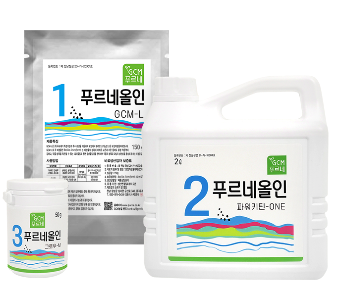 푸르네 올인