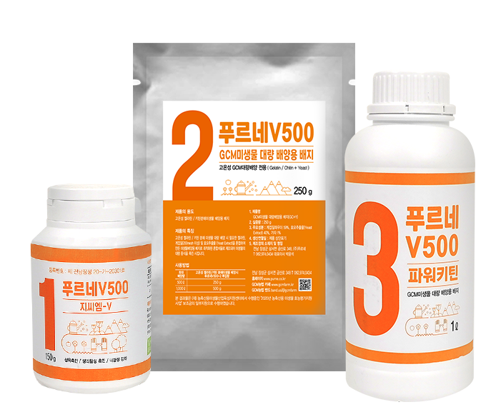 푸르네 V500